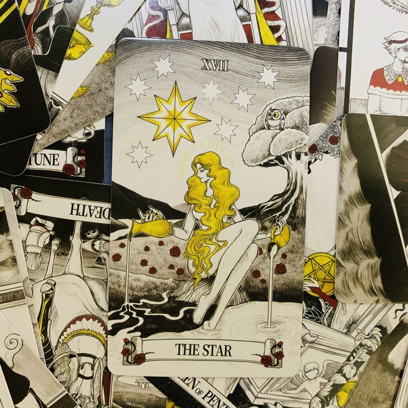 Secret Mirror Tarot-Karten, 80 – Board Game Quantum Bewertung und Preis